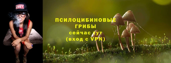 винт Новодвинск